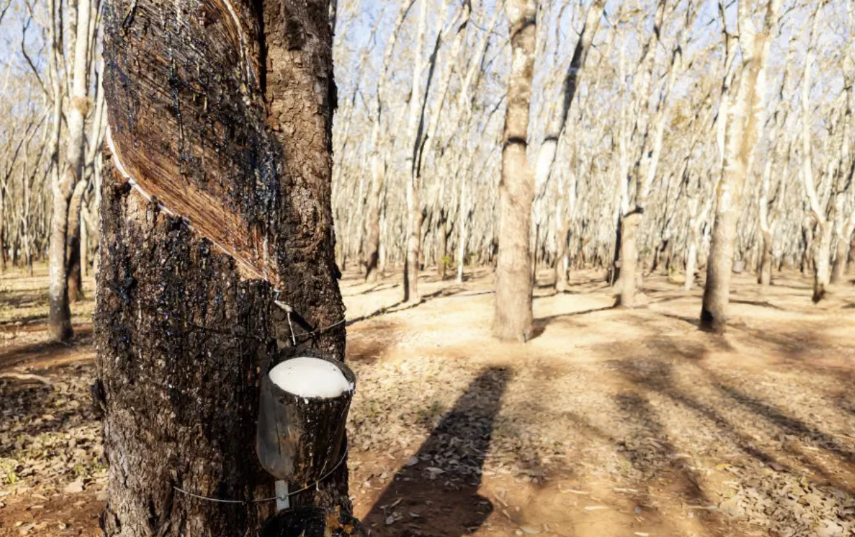 How do we ensure glove quality?